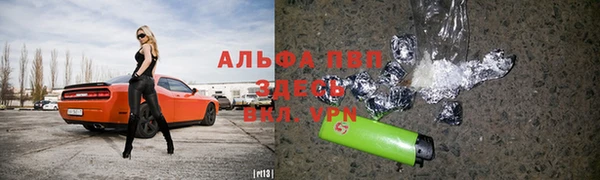 прущие грибы Балахна