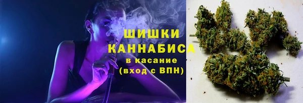 крисы Баксан