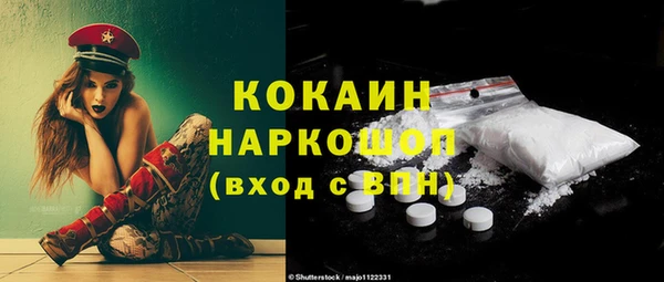 крисы Баксан