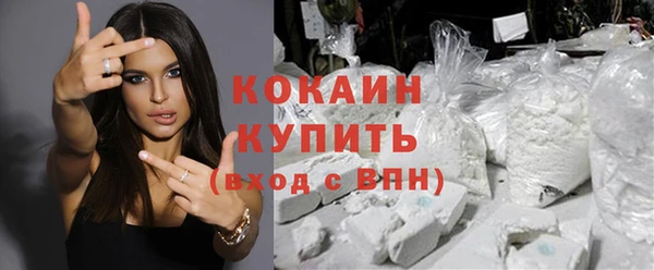 прущие грибы Балахна