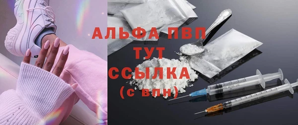 прущие грибы Балахна