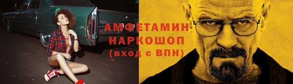 прущие грибы Балахна