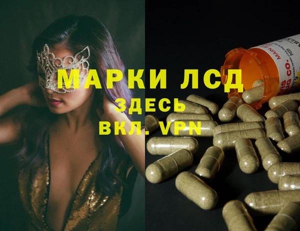 крисы Баксан
