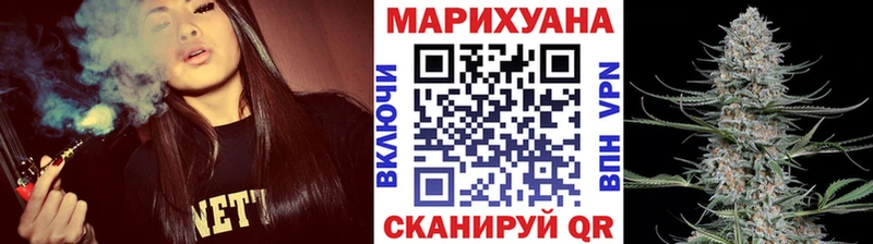 Бошки Шишки гибрид  где купить наркотик  Болотное 